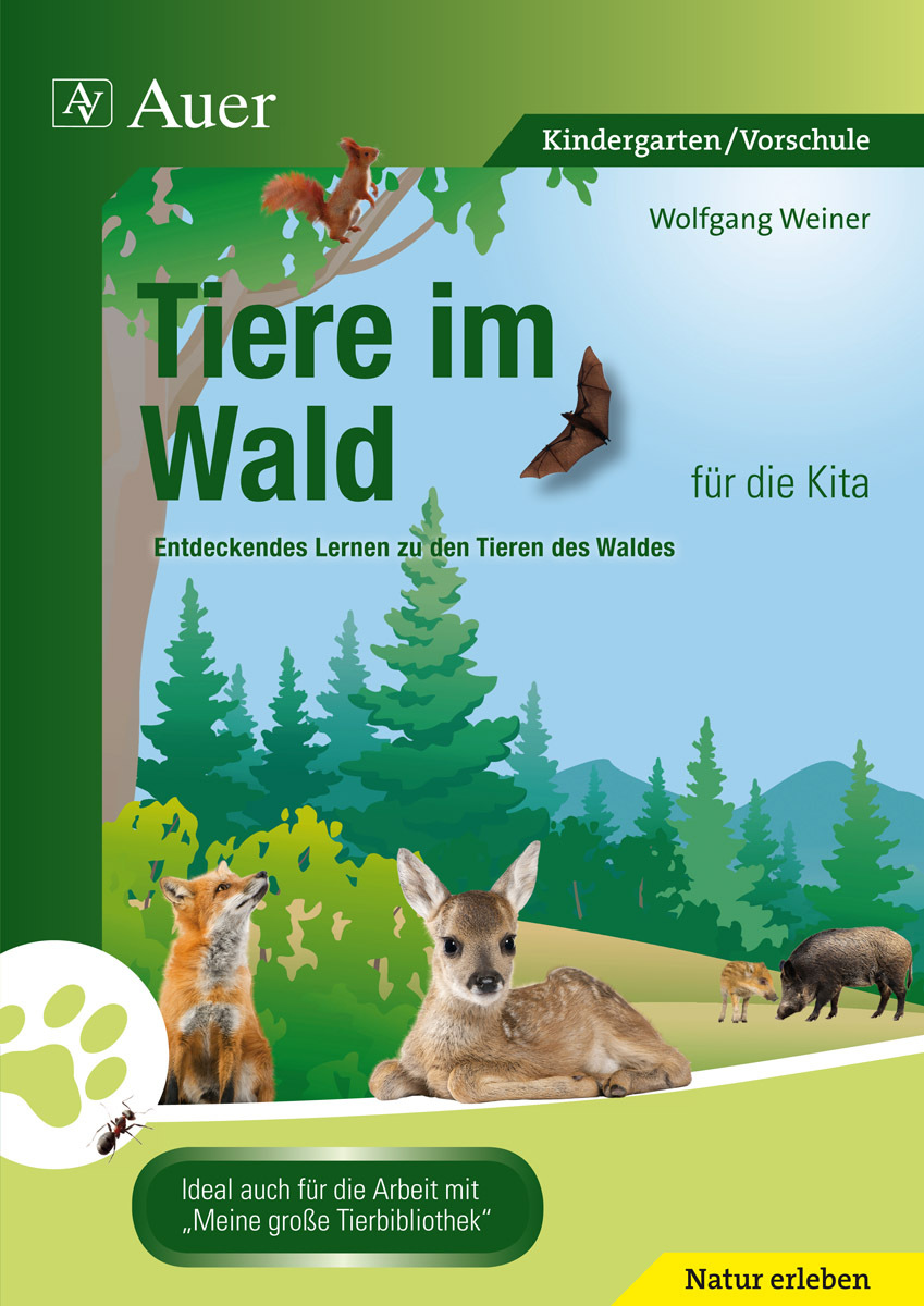  Tiere  im Wald  f r die Kita Buch kaufen Auer SpielundLern