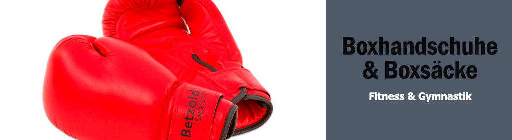 Boxhandschuhe & Boxscke Banner