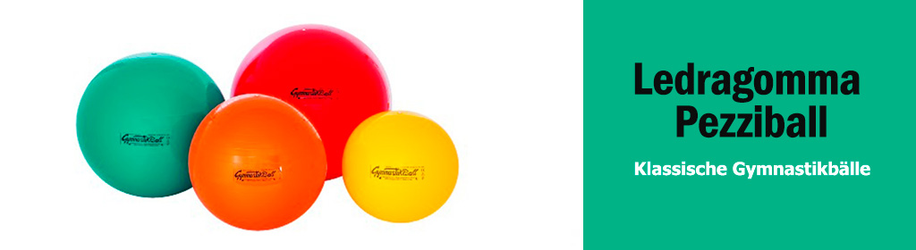 Ledragomma Pezziball Banner