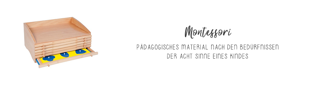 Montessori Banner