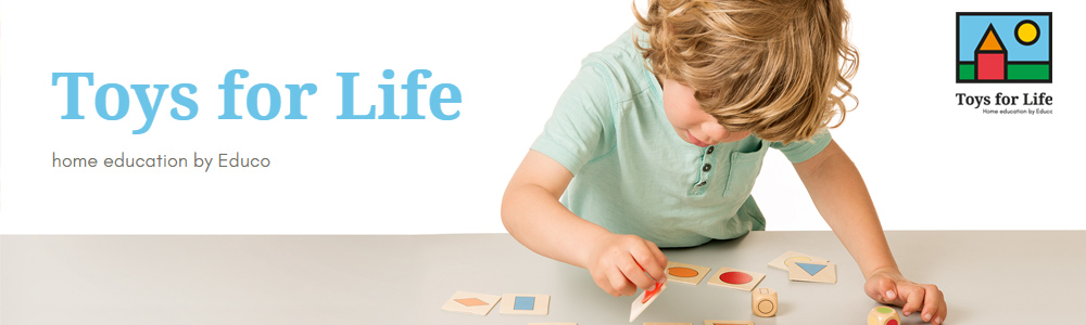 Toys for Life Banner