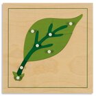 Botanisches Puzzle: Blatt, ab 4 Jahre
