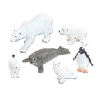 Tiere - Arktische Tiere, 6 Teile