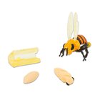 Lebenszyklus-Figuren: Honigbiene, 4-12 Jahre