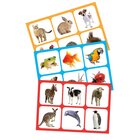 Maxilotto Tiere, 2-5 Jahre