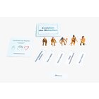 Arbeitsset Evolution der Menschen - Neuauflage jetzt mit Arbeitsheft!