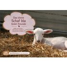Kamishibai Bildkartenset - Das kleine Schaf Ida findet Freunde, 2-10 Jahre