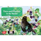 Kamishibai Bildkartenset - Tiere und Pflanzen in der Hecke, 6-10 Jahre