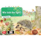 Kamishibai Bildkartenset - Wie lebt der Igel?, 6-10 Jahre