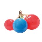 Gymnic Physio 95 cm, blau