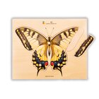 Holz-Puzzle Gelber Schmetterling mit großen Griffen, ab 2 Jahre