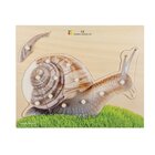 Holz-Puzzle Schnecke mit groen Griffen, ab 2 Jahre