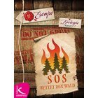 SOS: Rettet den Wald!, Escape Game, 5.-7. Klasse