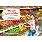 Kamishibai Bildkartenset - Wie der Apfel wchst. Von der Blte bis zur Frucht Bildkartenset