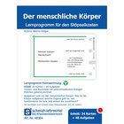 Stpselkarten 'Der menschliche Krper'