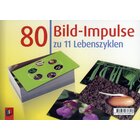 80 Bild-Impulse zu 11 Lebenszyklen, Bildkarten, 1.-4. Klasse