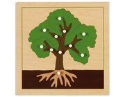 Botanisches Puzzle: Baum, ab 4 Jahre