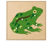 Tierpuzzles: Frosch