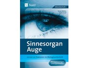 Sinnesorgan Auge