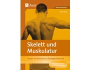 Skelett und Muskulatur