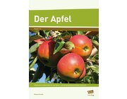 Der Apfel, 1.-2. Klasse