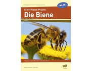 Erste-Klasse-Projekt: Die Biene - Broschüre