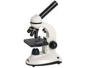 Compra-Mikroskop fr Einsteiger