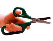 Schere mit groer und kleiner Fingerhalterung grn