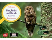 Eule, Fuchs und Hirsch. Tiere im Wald, Kamishibai, ab 3 Jahre