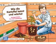 Kamishibai Bildkartenset - Wie die Kartoffel keimt und wächst, 4-8 Jahre