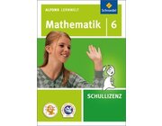 Alfons Lernwelt Mathematik 6 Schullizenz, DVD-ROM