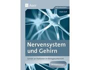 Nervensystem und Gehirn