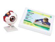 Schlermaterialset Auge, Experimentiersets mit Augenmodellen