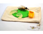 DIY-Kit Lebenszyklus Biene, nur Modell