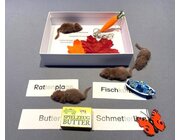 Silbenschrift Doppelkonsonanten in 10 Lesedosen, BM 242