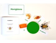 Lebenszyklus Biene mit Forscherheft, Lernmaterial Montessori, ab 5 Jahre