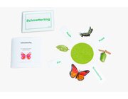 Lebenszyklus Schmetterling mit Forscherheft