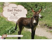 Kamishibai Sprachfrderkarten - Kleiner Esel Pedro in Gefahr, 2-10 Jahre