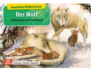 Kamishibai Bildkartenset - Der Wolf, 6 bis 12 Jahre