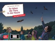 So leben die Tiere in der Nacht. Kamishibai Bildkartenset, 4-8 Jahre