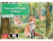 Tiere und Pflanzen im Wald. Kamishibai Bildkartenset, 6-10 Jahre