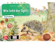 Kamishibai Bildkartenset - Wie lebt der Igel?, 6-10 Jahre