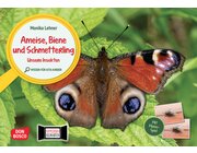 Ameise, Biene und Schmetterling. Unsere Insekten. Kamishibai Bildkarten und Memo-Spiel ab 3 Jahre