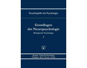 Grundlagen der Neuropsychologie