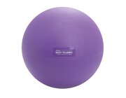 Multi Training Ball