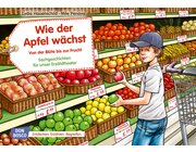 Kamishibai Bildkartenset - Wie der Apfel wchst. Von der Blte bis zur Frucht Bildkartenset