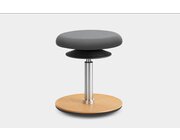 Lffler ERGO TOP Hocker 42-57 cm, Kunstleder grau mit Bodenwippe Buche natur, Sitzflche 37 cm, Gasfeder Alu poliert