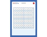 Calcutrix 100 Magnetische Rechentafel, 2.-3. Klasse (nur solange der Vorrat reicht!)