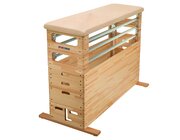 Sport-Thieme Sprungkasten Mario mit Schwenkrolleneinrichtung