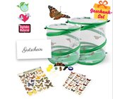 Zuchtset Schmetterlinge, Gutschein-Set, gro, 12 Teile